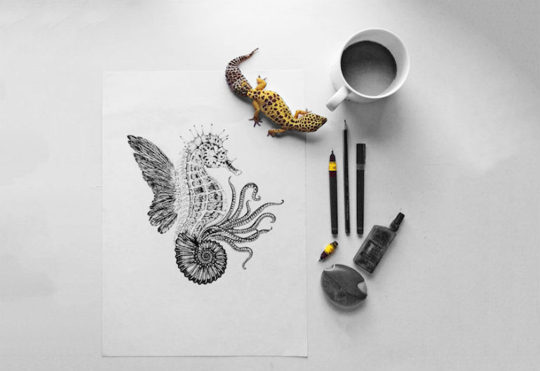 seahorse illustration