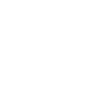 Barn owl icon