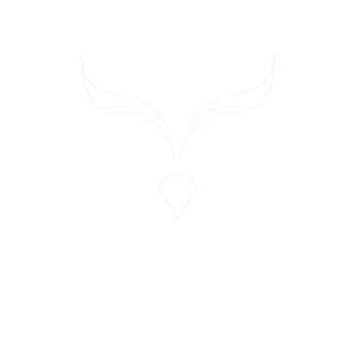 Tawny owl icon
